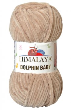 Dolphin Baby